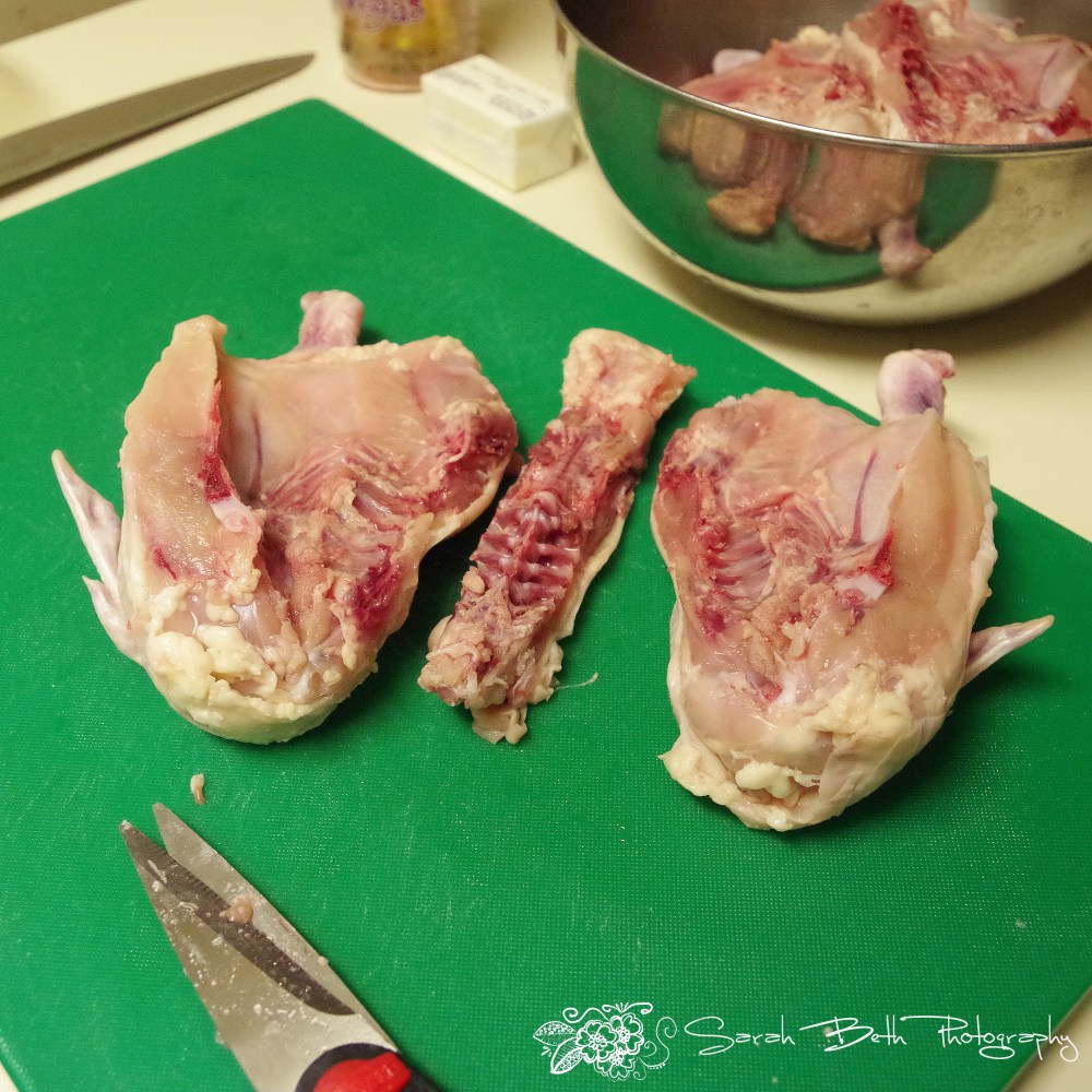 IMGP2159 - sarahbeth with watermark