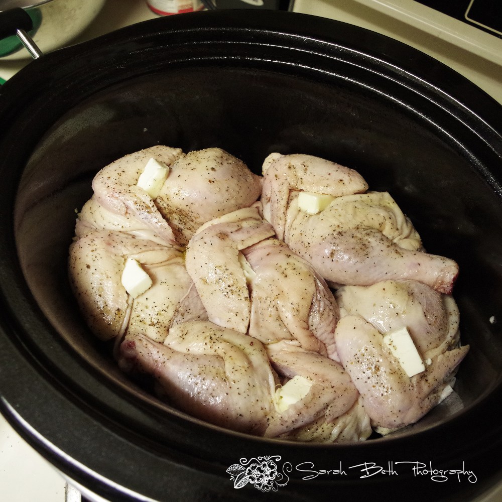 IMGP2167 - sarahbeth with watermark